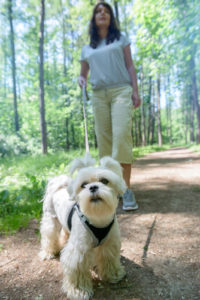Asking for what you want in a relationship is the first step to building comforting habits. Photo of woman walking her dog on a forest path.